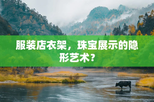 服装店衣架，珠宝展示的隐形艺术？
