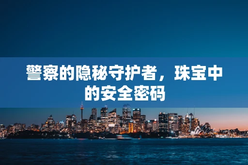 警察的隐秘守护者，珠宝中的安全密码