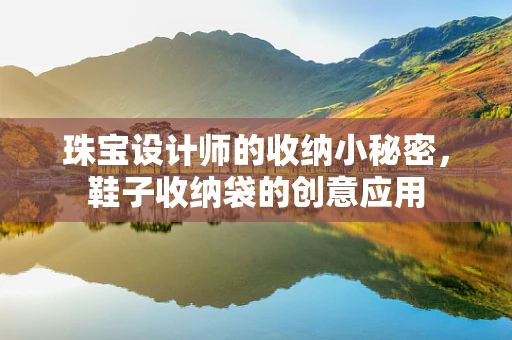 珠宝设计师的收纳小秘密，鞋子收纳袋的创意应用
