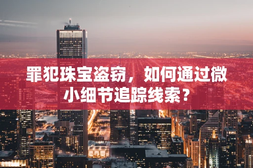 罪犯珠宝盗窃，如何通过微小细节追踪线索？