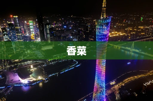 香菜