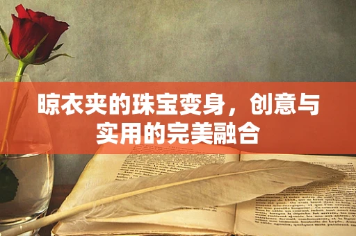晾衣夹的珠宝变身，创意与实用的完美融合