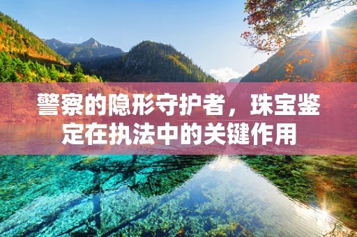 警察的隐形守护者，珠宝鉴定在执法中的关键作用
