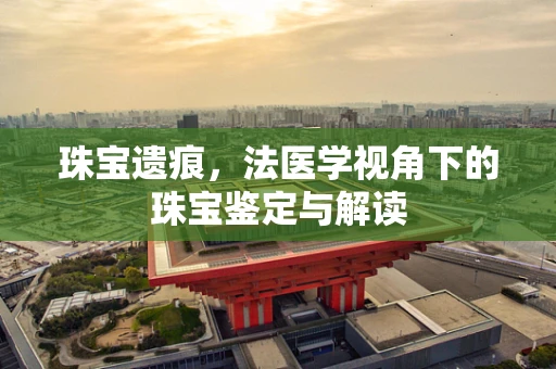 珠宝遗痕，法医学视角下的珠宝鉴定与解读
