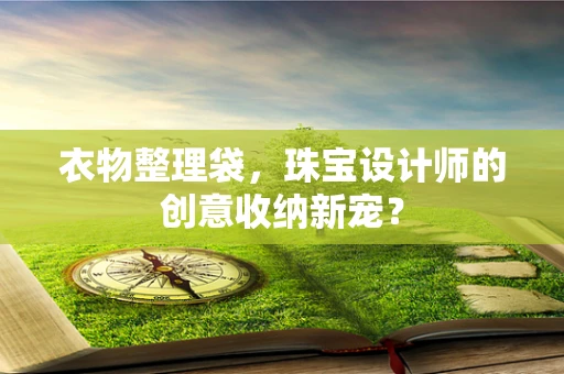 衣物整理袋，珠宝设计师的创意收纳新宠？