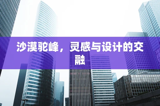 沙漠驼峰，灵感与设计的交融