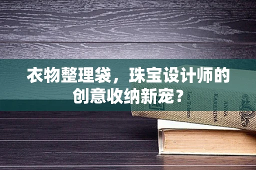 衣物整理袋，珠宝设计师的创意收纳新宠？