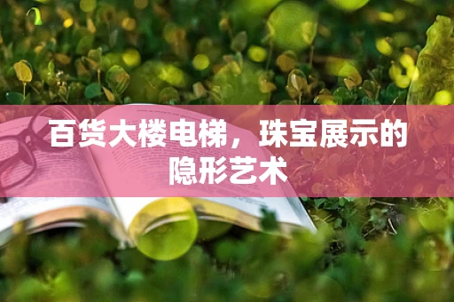百货大楼电梯，珠宝展示的隐形艺术