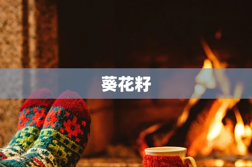 葵花籽
