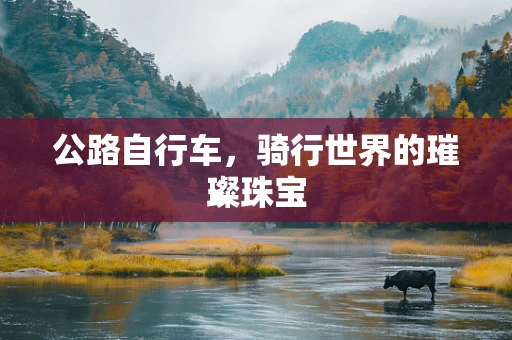 公路自行车，骑行世界的璀璨珠宝