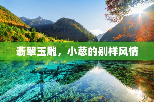翡翠玉雕，小葱的别样风情