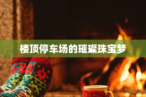 楼顶停车场的璀璨珠宝梦