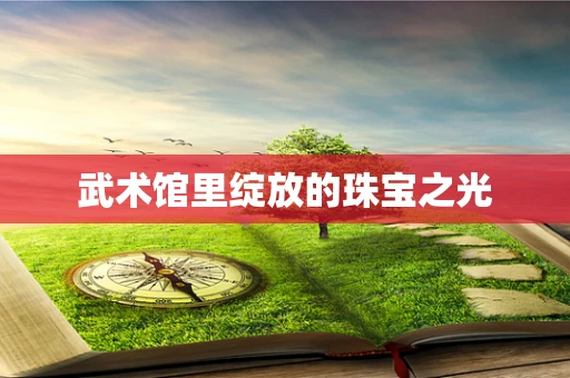 武术馆里绽放的珠宝之光