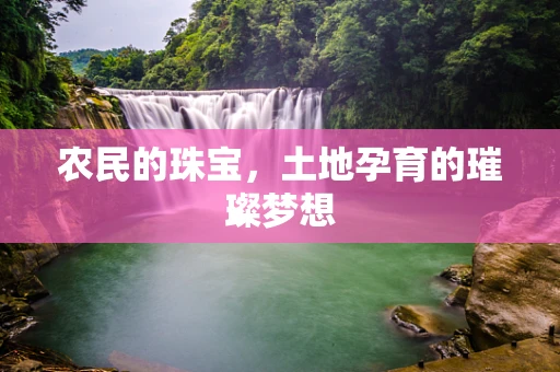 农民的珠宝，土地孕育的璀璨梦想