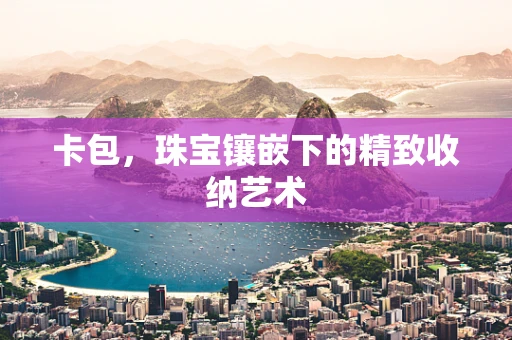 卡包，珠宝镶嵌下的精致收纳艺术