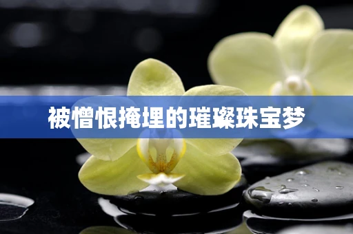 被憎恨掩埋的璀璨珠宝梦