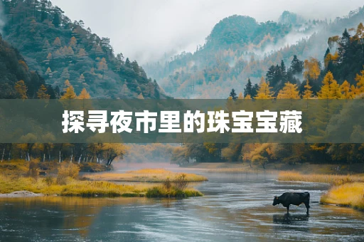 探寻夜市里的珠宝宝藏