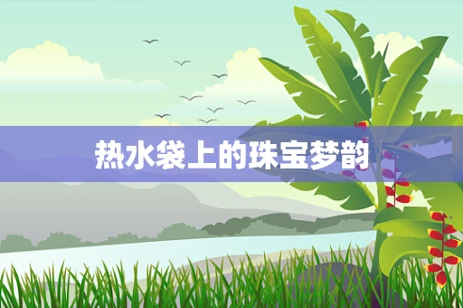 热水袋上的珠宝梦韵