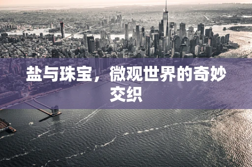 盐与珠宝，微观世界的奇妙交织