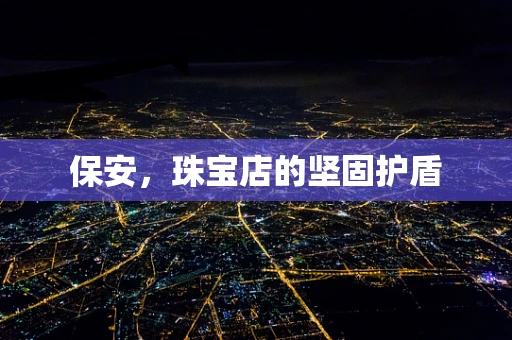 保安，珠宝店的坚固护盾