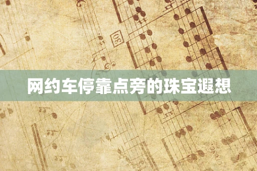 网约车停靠点旁的珠宝遐想