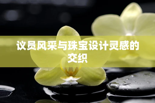 议员风采与珠宝设计灵感的交织