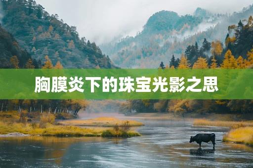 胸膜炎下的珠宝光影之思