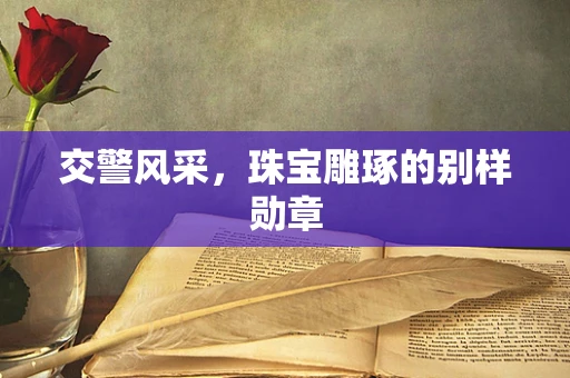 交警风采，珠宝雕琢的别样勋章