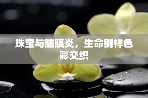 珠宝与脑膜炎，生命别样色彩交织