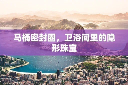 马桶密封圈，卫浴间里的隐形珠宝