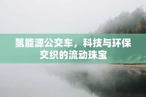 氢能源公交车，科技与环保交织的流动珠宝