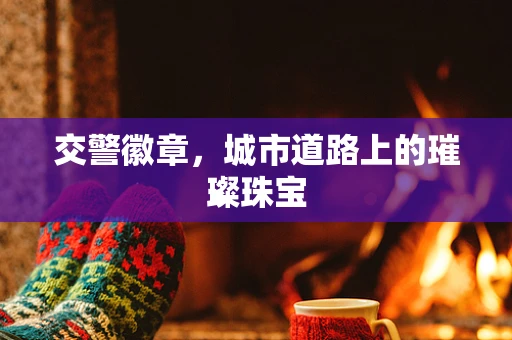 交警徽章，城市道路上的璀璨珠宝