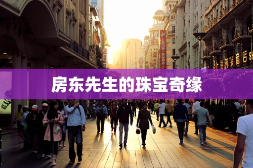 房东先生的珠宝奇缘