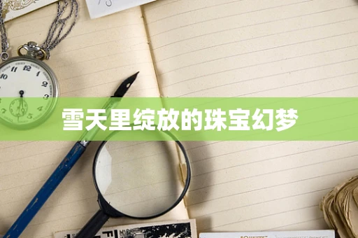 雪天里绽放的珠宝幻梦