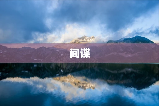 间谍