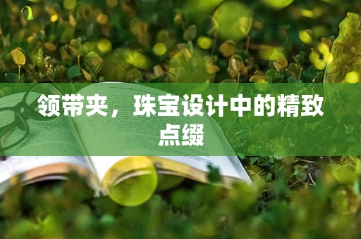 领带夹，珠宝设计中的精致点缀