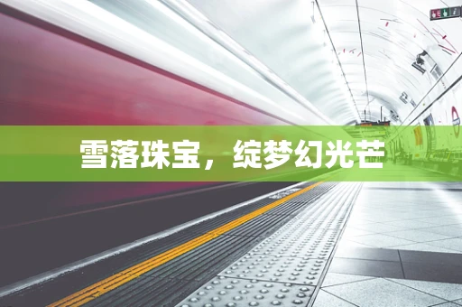 雪落珠宝，绽梦幻光芒