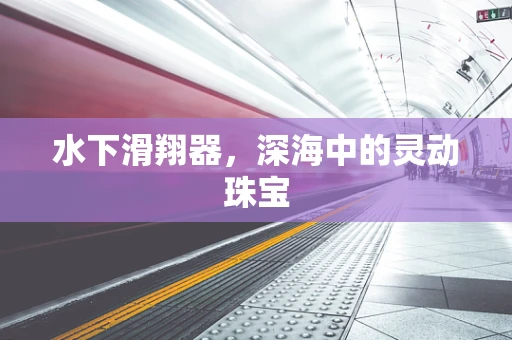 水下滑翔器，深海中的灵动珠宝