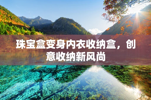 珠宝盒变身内衣收纳盒，创意收纳新风尚