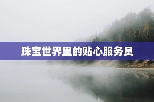 珠宝世界里的贴心服务员