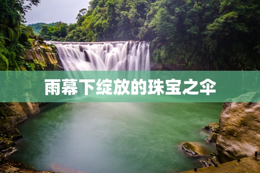 雨幕下绽放的珠宝之伞