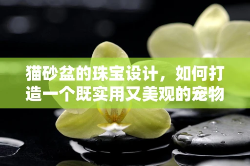 猫砂盆的珠宝设计，如何打造一个既实用又美观的宠物空间？